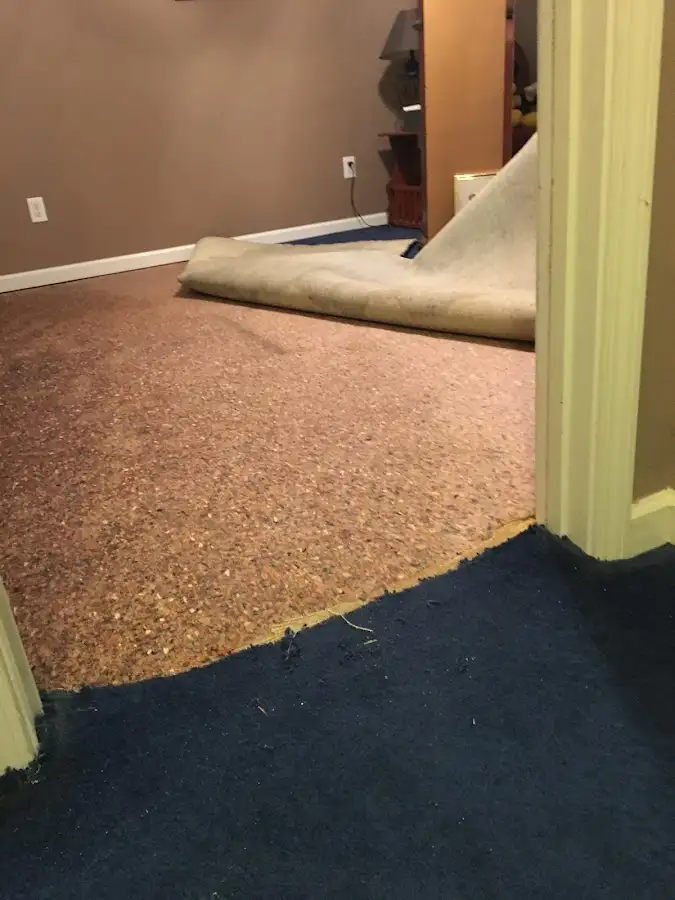 Carpet pad removal revealing water damage during Drying & Dehumidification in Key Biscayne