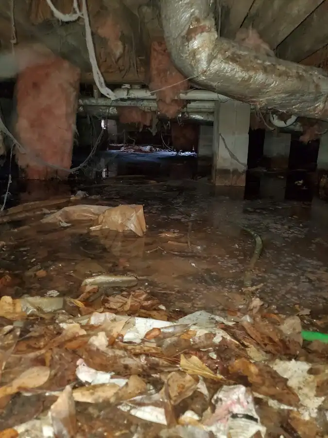 Crawl space flood assessment for Leak Detection & Repair in Key Biscayne